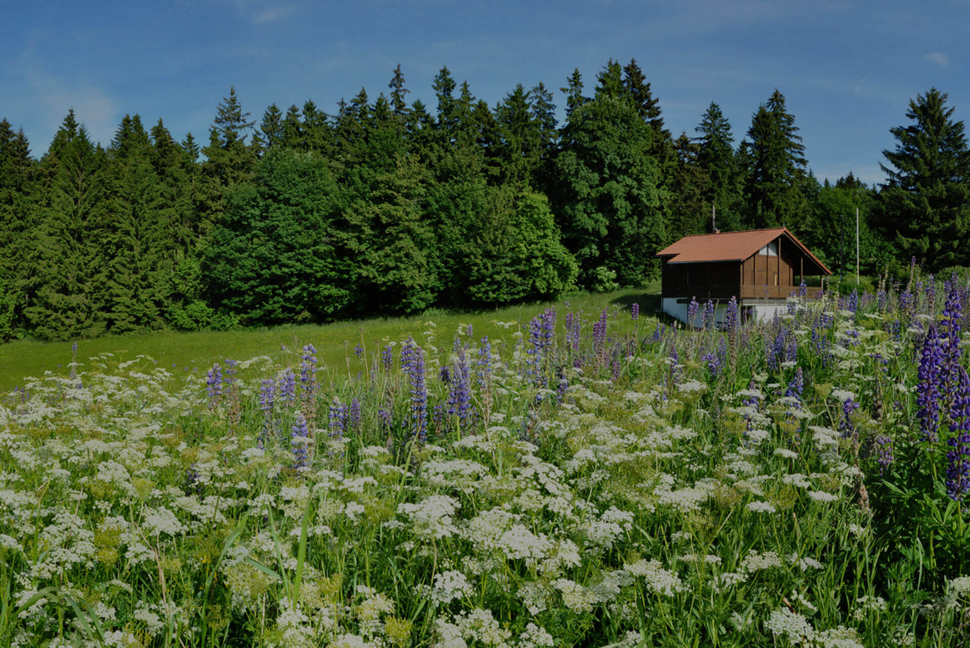 Bild Compliance Sommercampus