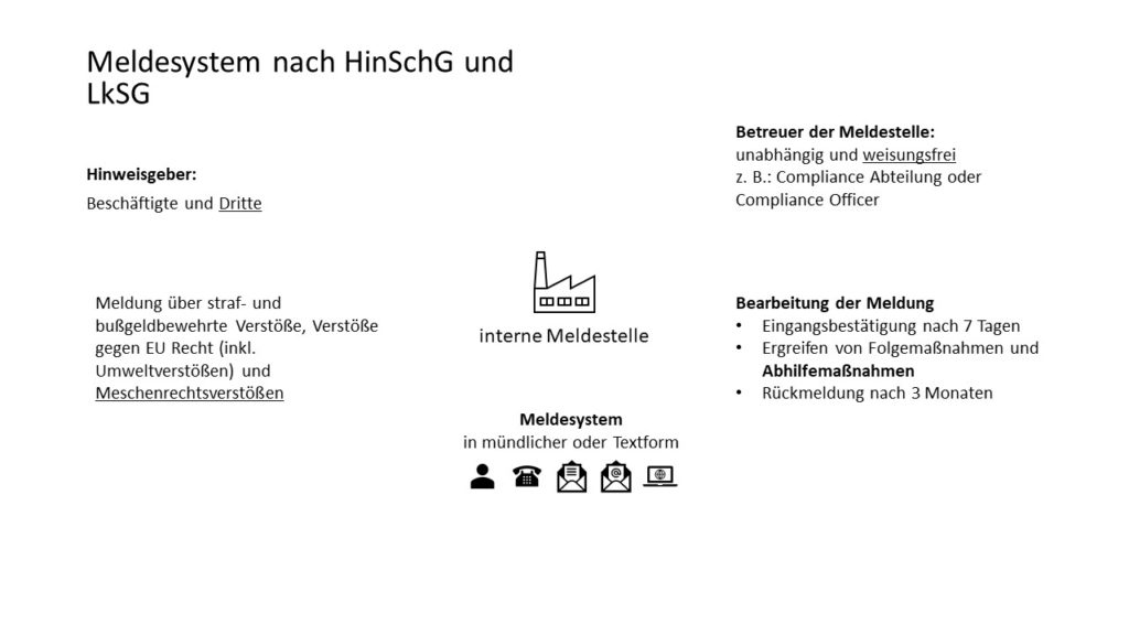 Meldesystem nach HinSchG und LkSG(Abbildung)